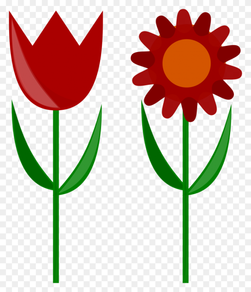 Цветок ассортимент