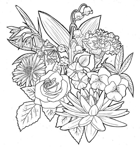 Букет цветов зарисовка