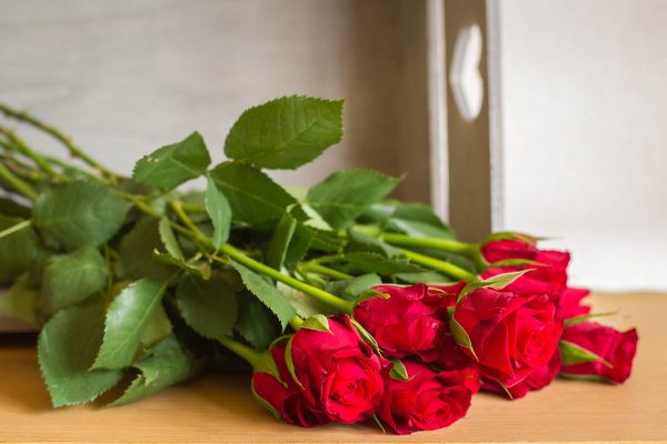 Цветы лежат