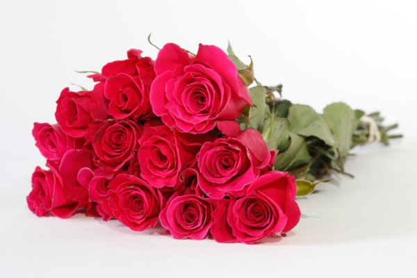 Букет лежачих роз