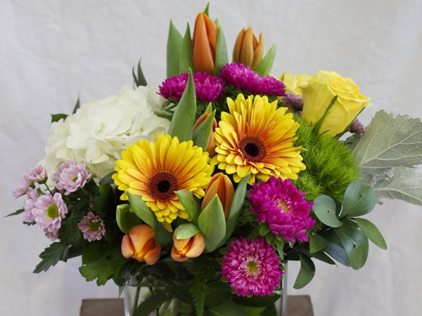 Розы Ридикулус