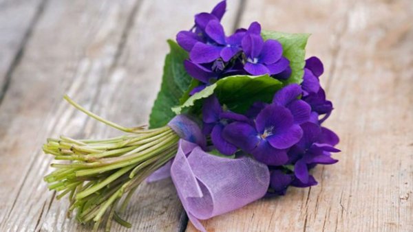 Пармские фиалки букет