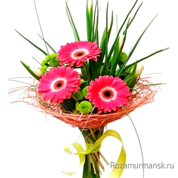 Берграсс микс