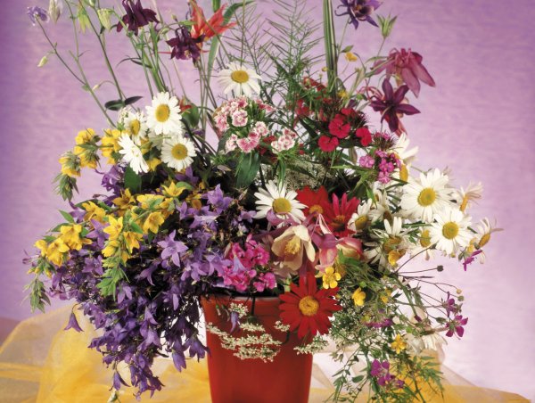 Полевой букет