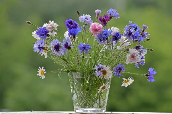 Букет полевые цветы