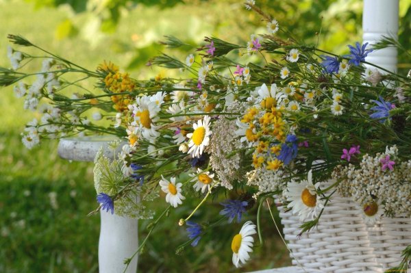 Букет "лето"