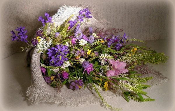 "Полевые цветы" Хайнц Шольнхаммер