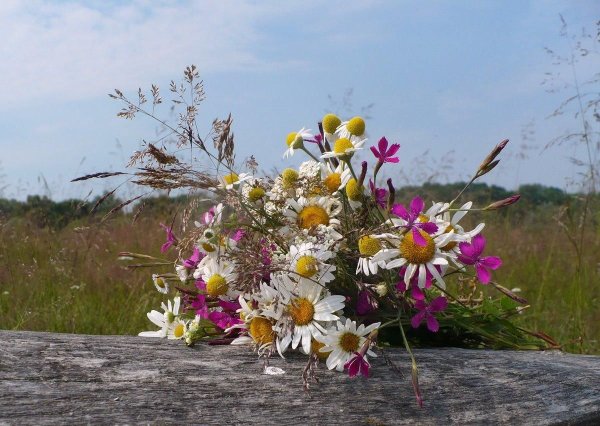 Красивый букет полевых цветов