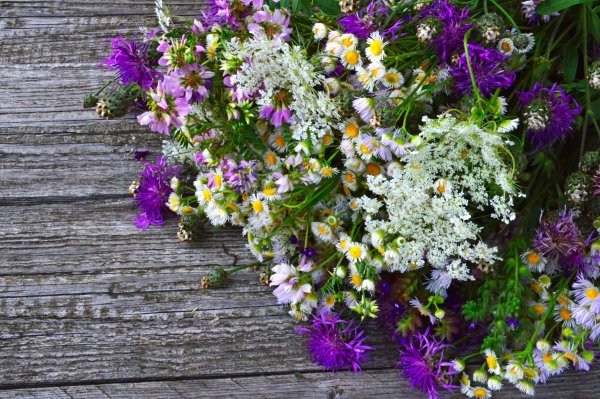 Красивые композиции из полевых цветов