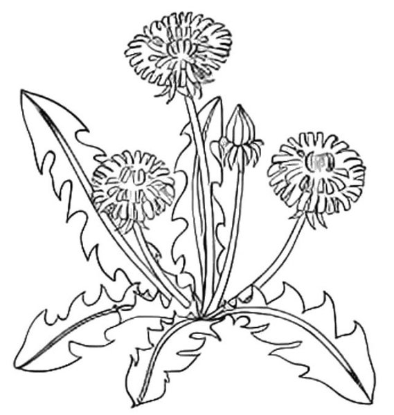 Мать и мачеха раскраска