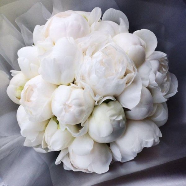 Букет белые пионы