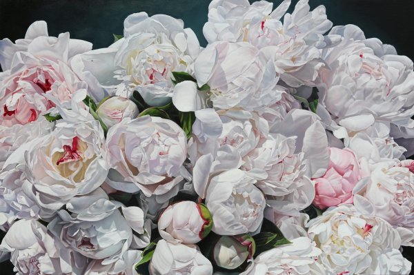 Thomas Darnell пионы