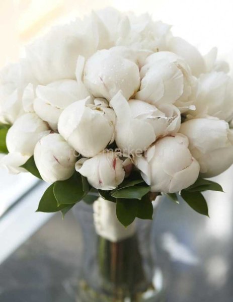 Букет белые пионы