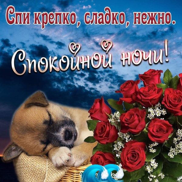 Спокойной ночи девушке с розами