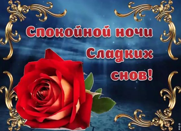 Спокойной ночи девушке цветы