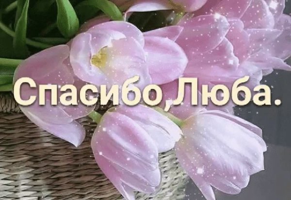 Открытка спасибо Люба