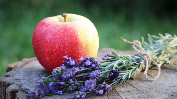 Августовские яблоки