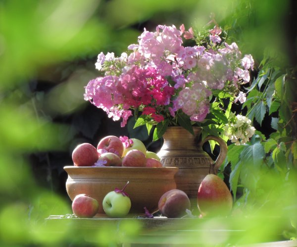 Август цветы яблоки