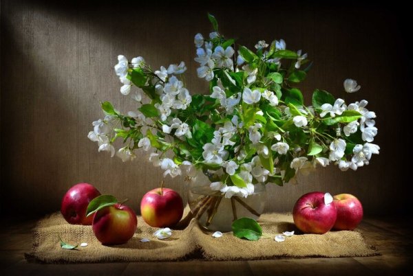 Яблочный спас фото