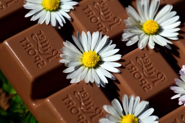 Шоколад конфеты