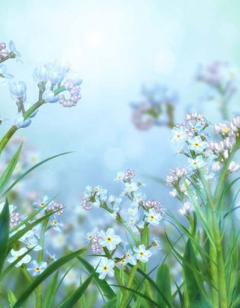 Весенние полевые цветы