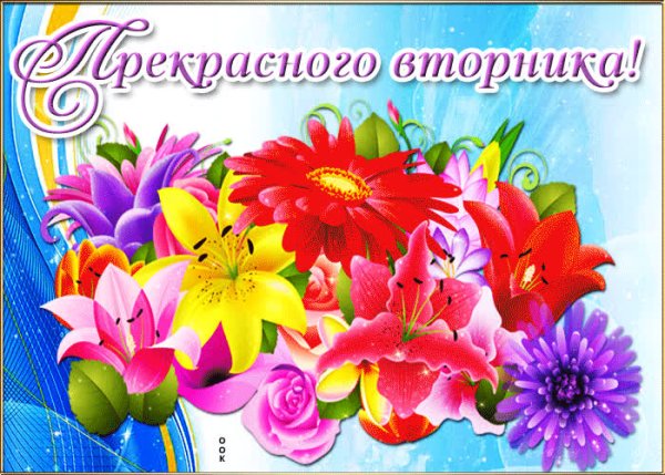 Прекрасного вторника