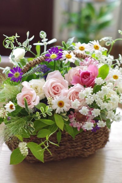 Красивые композиции цветов