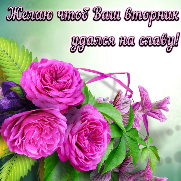 Пожелания на день