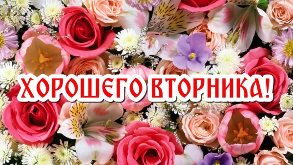 Доброго вторника