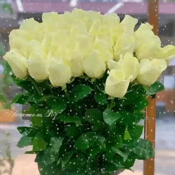 Доброго вам вторника