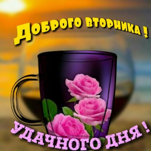 Прекрасного вторника