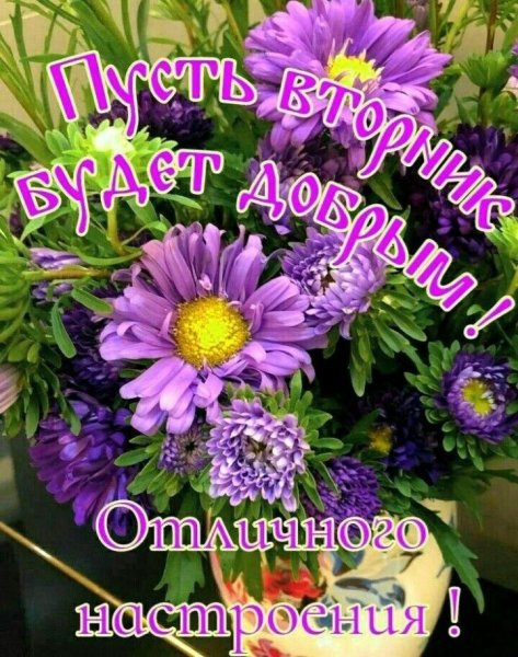 Доброе утро вторника