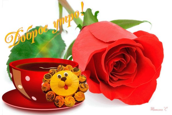 Вторник с добрым утром цветы
