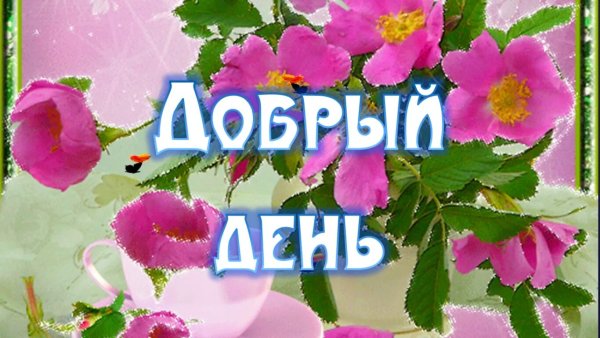 Красивые пожелания с добрым утром