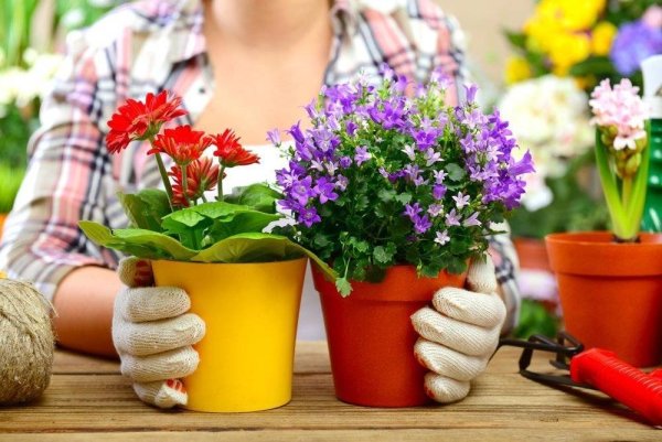 Прополка грядок огородник