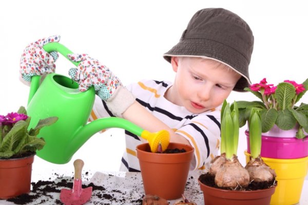 Комнатные растения для детей