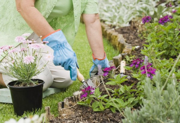 Цветочный рассадный тепличный бизнес