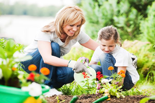 Вырастить цветок