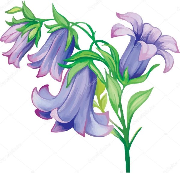 Мультяшные цветы колокольчики