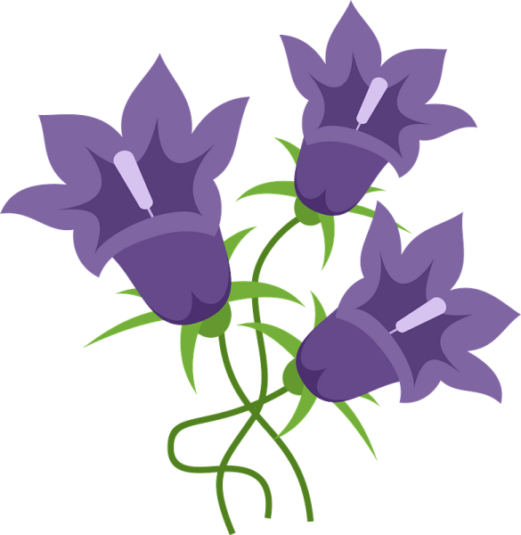 Рисование колокольчик в старшей группе