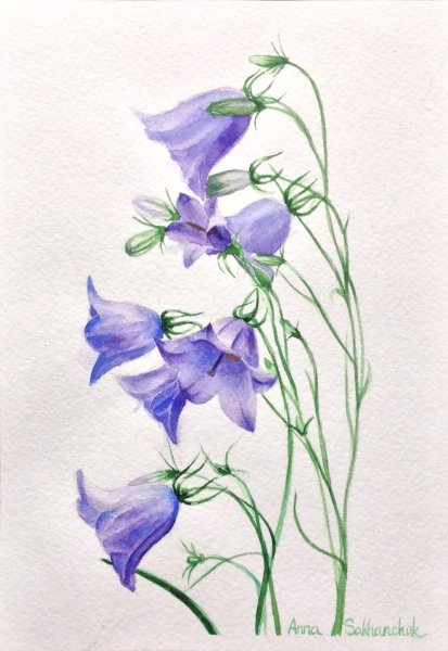 Колокольчик цветок для детей