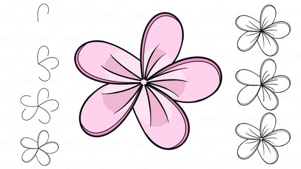 Нарисовать цветы