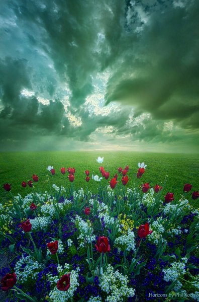 Цветущий рай