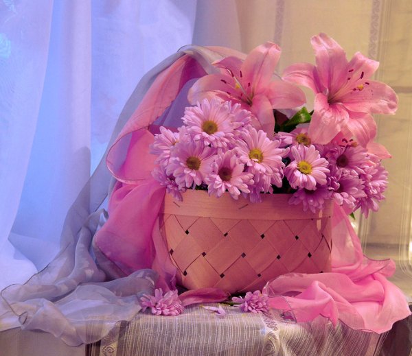 Нежные цвета