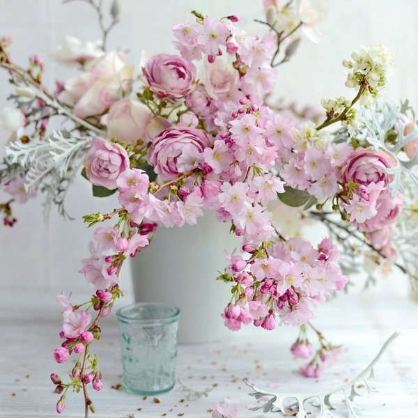 Цветы красивые нежные