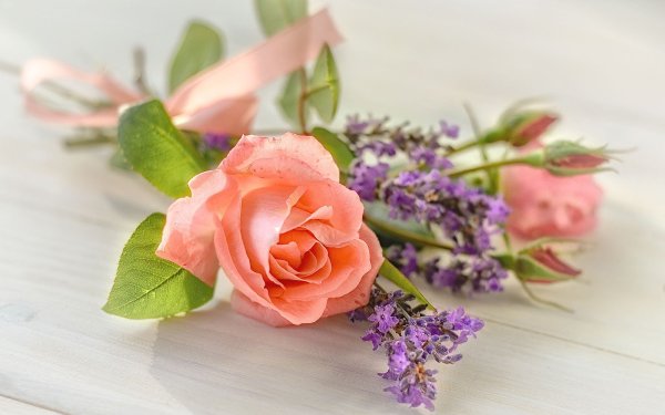 Весенние натюрморты Валентины Корибут