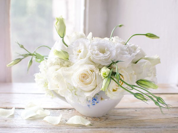 Розы в чашке