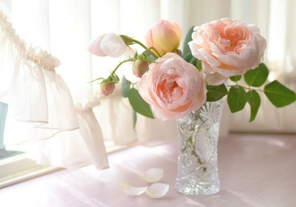 Букет нежных роз