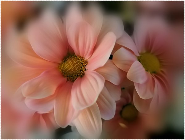 Самый нежный букет цветов