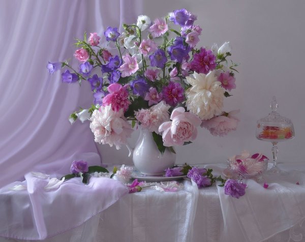 Нежные розы